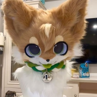Fursuit Long haired Dog Fox Mascot Party Halloween Fur Cosplay(head)