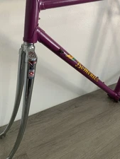 DOMENICS BY TOMASSINI FRAME AND FORK  52 CM COLUMBUS TUBING 2.8 KGS 126 SPACING
