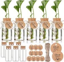 24 Pack 3.54'' Plant Propagation Stations 4oz Plastic Propagation Jars Plante...