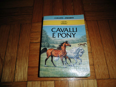 Caroline Silver, Christine Bousfield - PFERDE UND PONYS - Taschen