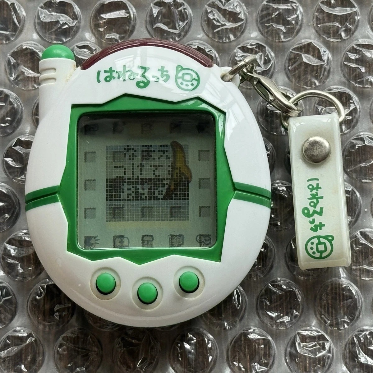 バンダイたまごっちUSバージョン 17 Years and Up Tamagotchi Bandai for sale | eBay