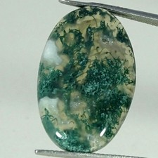20.50Cts Natural Green Moss Agate Oval Cabochon Gemstone 17X26X5MM