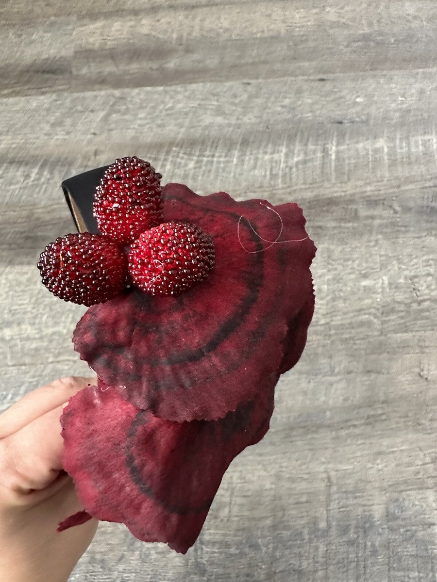 New Handmade Designer Fascinator Headband Red Tree Mushrooms 
