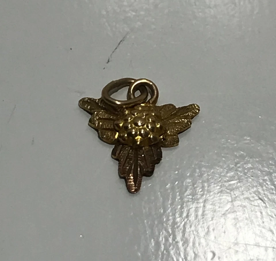 Colgante Landstrom's Black Hills Oro 925 10K Oro Hoja de Uva Dije Foto 2 de 4