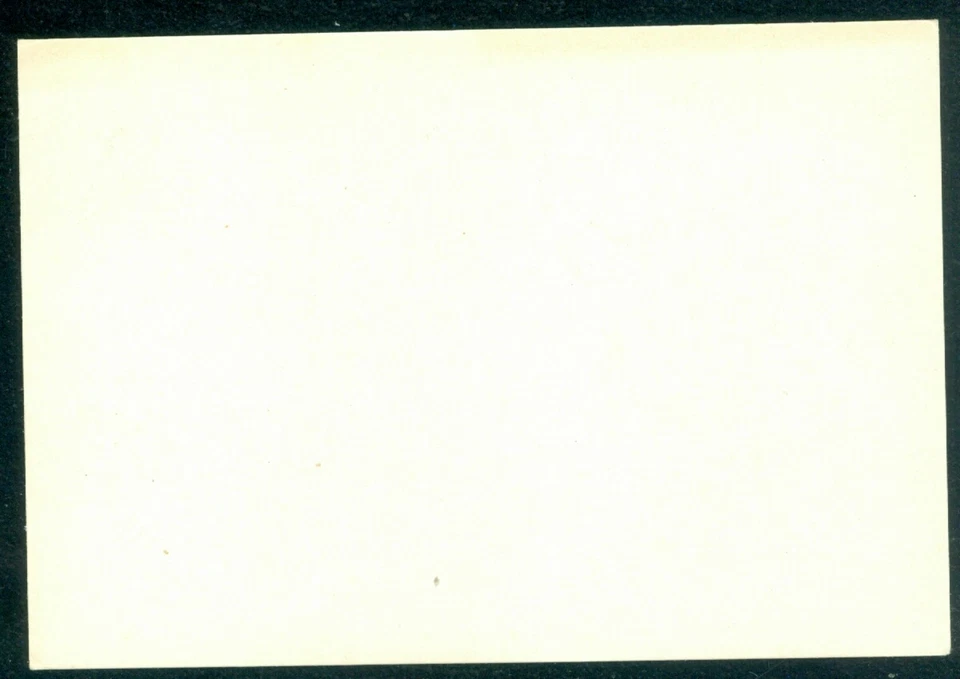 Picudo de la remolacha 1955, picudo del maíz/maíz, insectos plaga, Rumania, tarjeta Foto 2 de 2