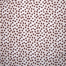 Food Fabric - International Coffee Bean Toss Beige - Windham YARD