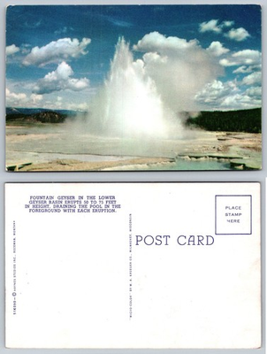 #ad Fountain Geyser Yellowstone NP Micro Color Postcard Haynes Studios 50s $1.99