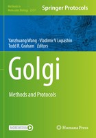 Golgi | Methods And Protocols | Yanzhuang Wang (U. A.) | Taschenbuch | Xvii