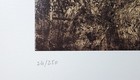 Picture 4 of 7