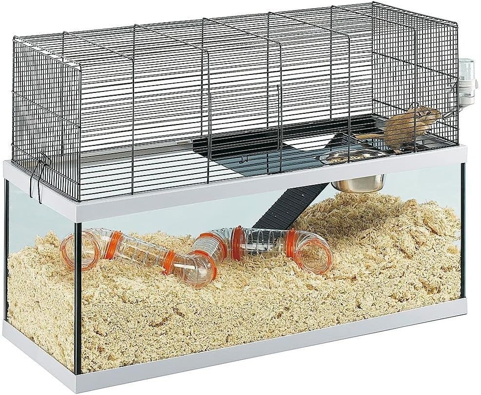 Cage gerbille Ferplast Gabry 80 terrarium petits rongeurs souris