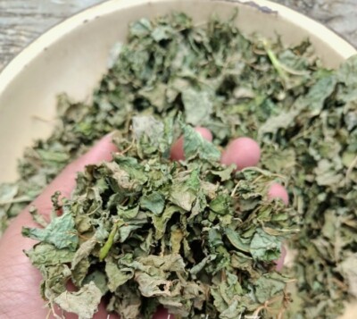 Daun Bayam Hjau - Amaranthus - green amaranth Dried Leaves