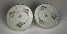 Set Of 2 Vintage Canonsburg Pottery Dinner Plate Rose Bouquet With Some Warts