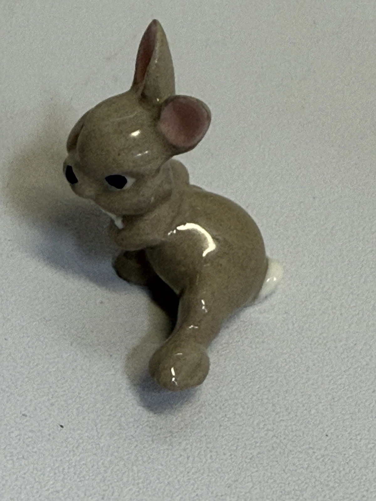 Picture 5 of 15