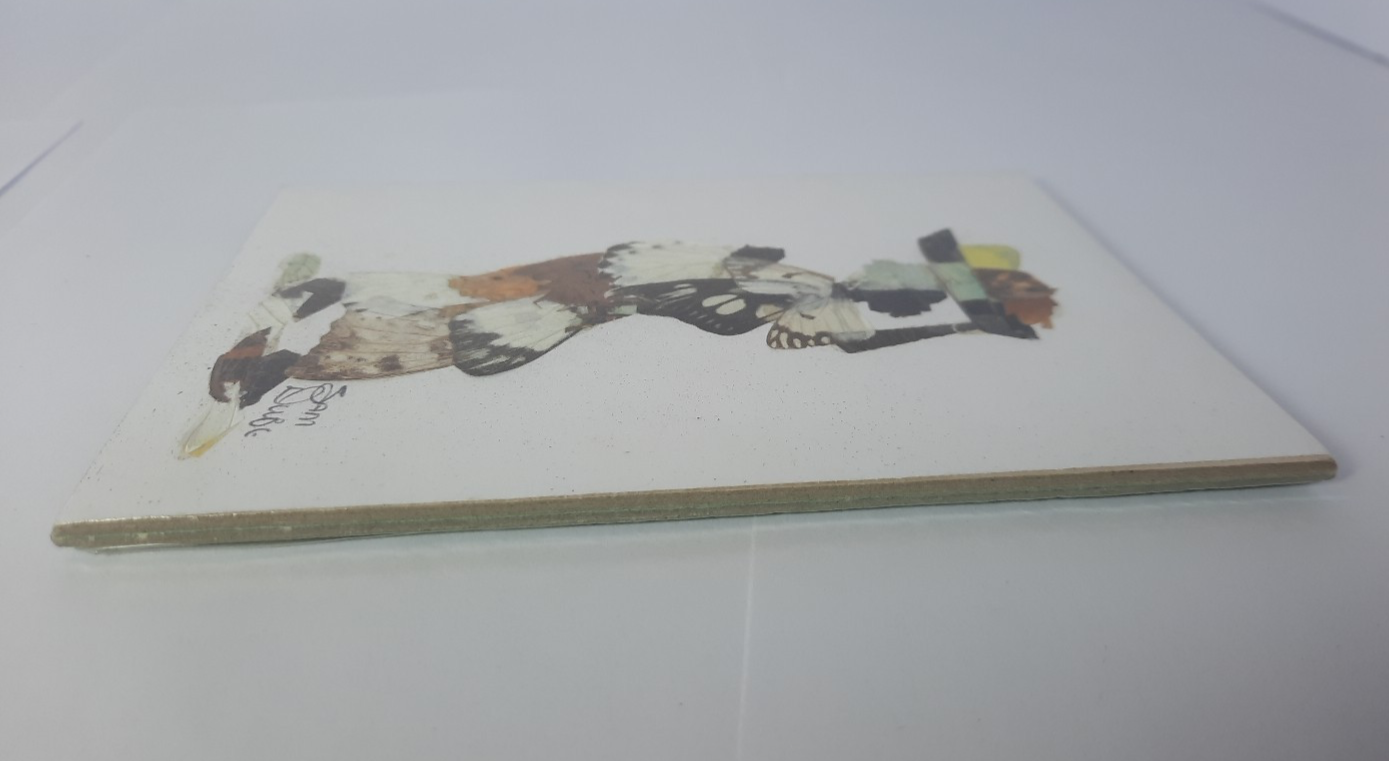 Bild 4 von 8