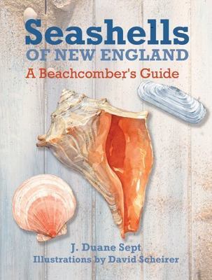 SEASHELLS OF NEW ENGLAND: A BEACHCOMBER'S GUIDE By J. Duane Sept & Sandy Allison