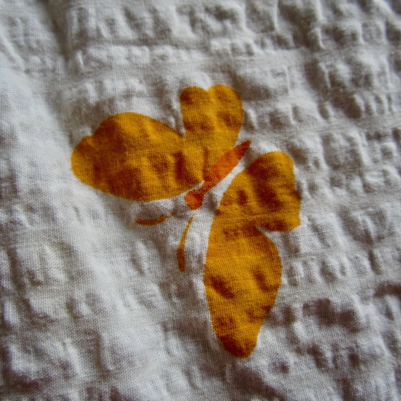 Picture 5 of 8