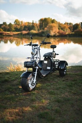 SHANSU Golf Scooter Golfwagen Golfbuggy Golfkart E-Scooter Coco Fat Bike Golftrolley