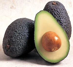 MARCA PREDEFINITA Persea americana Pianta di Avocado "Hass" (di innesto)