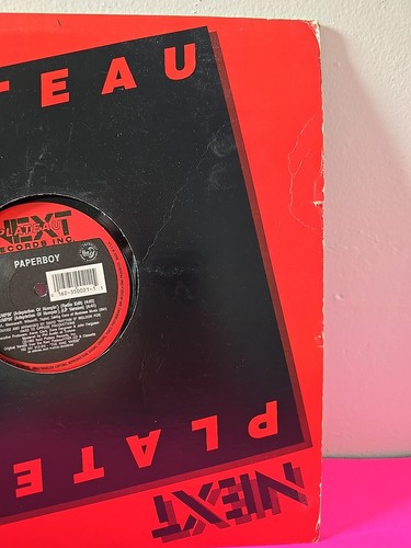 Rare Paperboy Bumpin' (Adaptation Of Humpin') Vinyl Record Single 1993 Next... - Picture 3 of 10