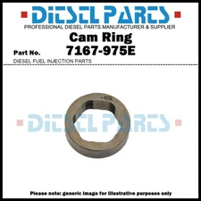 Cam Ring 7167-975E for Delphi Cav DPA Pumps