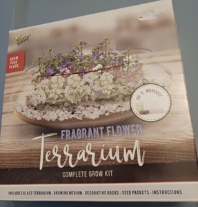 Terrarium Plant Seeds | eBay