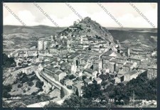Roma Tolfa Foto FG cartolina MV1951