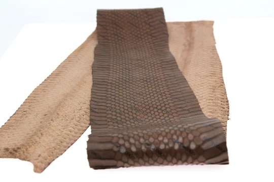 DAMLXV Monogram Print Elaphe Carinata Snake Skin Snakeskin Leather Hide - Image 3 of 4