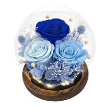 Preserved Roses in Glass Dome Forever Flowers Eternal Roses Gift for Women Ch...