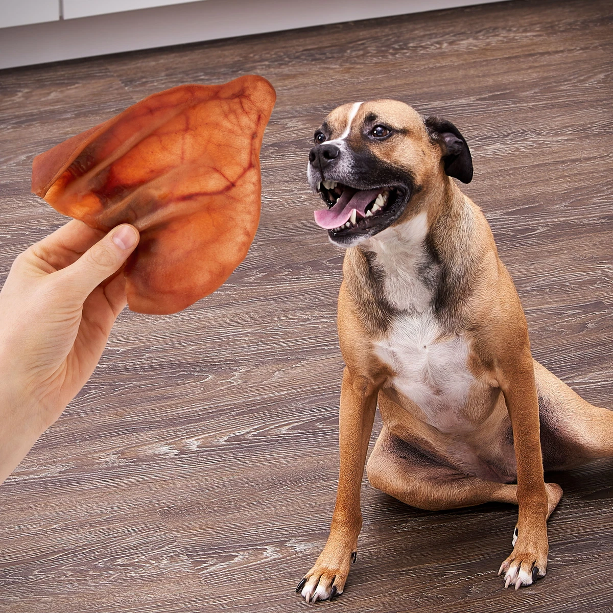 Ol roy good clearance for dogs