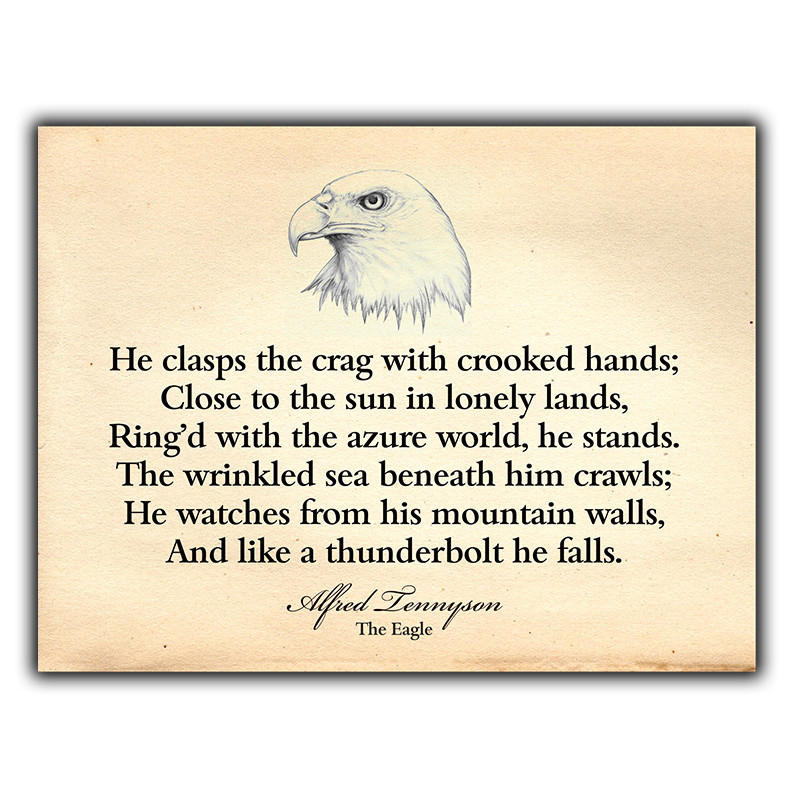 SIGN METAL WALL PLAQUE ALFRED TENNYSON THE EAGLE Poem Quote