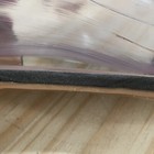 Bild 6 von 16