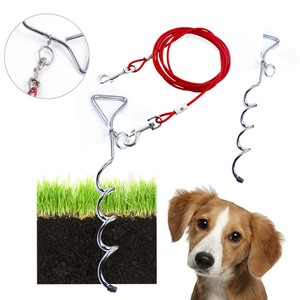in ground leash