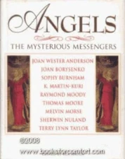 Angels: The Mysterious Messengers - Hardcover By Hauck, Rex - GOOD