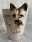 Blue Witch 3D Cairn Terrier ~ Bondy Pet Mug New