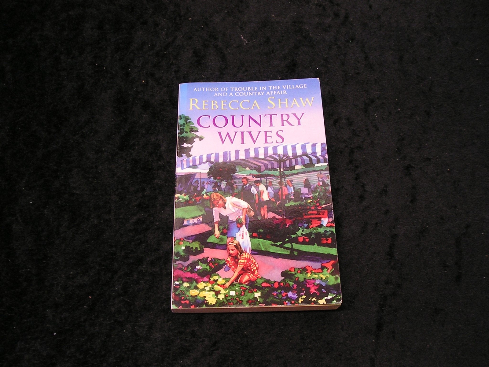 Country Wives by Rebecca Shaw
