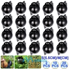 2-20PCS Garden Plant Care Rooting Growing Grafting Box Pressure Propagation Ball