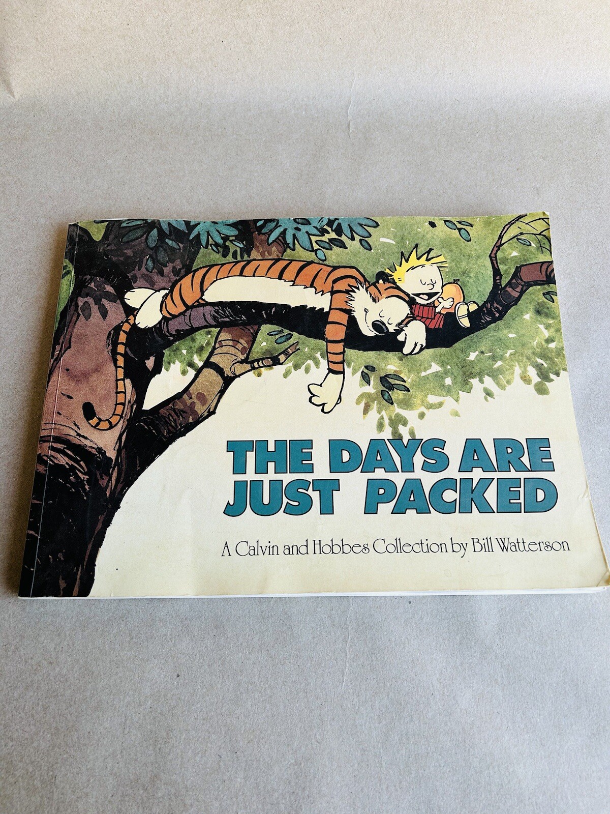 Calvin and Hobbes The Days are Just Packed Comic Collection