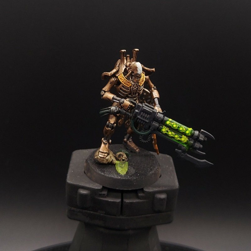 Pro Painted Warhammer 40k necrons Indomitus Royal Warden games workshop