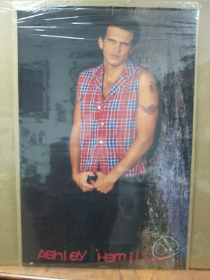 Ashley Hamilton  Vintage Poster actor 1994 writer Inv#4578