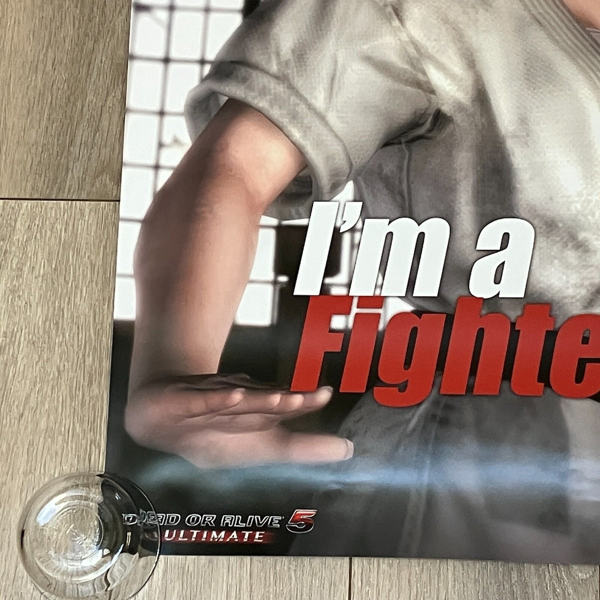 Dead or Alive 5 Ultimate Hitomi I'm a Fighter Limited Benefits B2