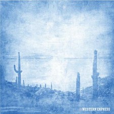 Western Express 22" Blue Cactus Desert Bandana Handkerchief Scarf 100 Cotton