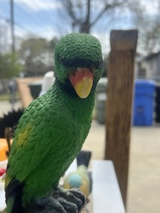 This is a vintage ceramic sand art parrot figurine perched on a branch
