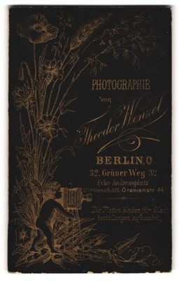 Fotografie Theodor Wenzel, Berlin, Grüner Weg 32, Portrait Kleinkind an einer P 