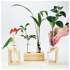 Plant Propagation Station - 3-Piece Wooden Stand with 4 Glass Test Tubes, Ter...