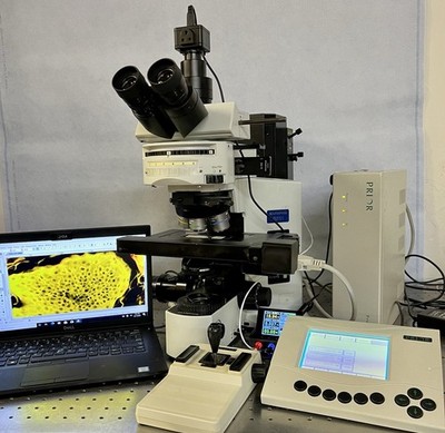 Olympus BX51  LM APO Nomarski LED Fluorescence Prior Stage  CAM + Guarantee