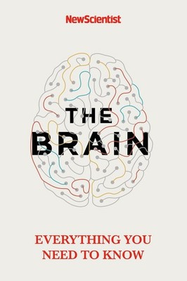 The Brain Scientist New