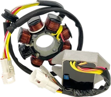 RICK'S MOTORSPORT ELECTRIC 14-99-902H Lithium-Ion Compatible Charging Kit