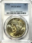 1925 Peace Silver Dollar - PCGS MS61 - Golden Toned Mint State $1 Nice Luster