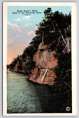 Black Hawk's Head Dells of Wisconsin River Postcard Vertical View