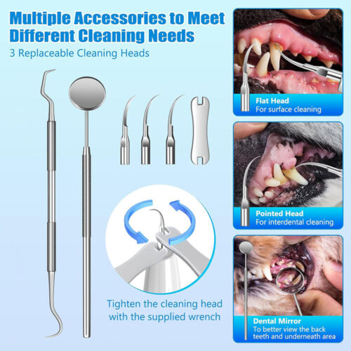 Pet Ultrasonic Toothbrush Tartar Plaque Remover Dental Cleaning Tool for Dog Cat - Picture 21 of 24